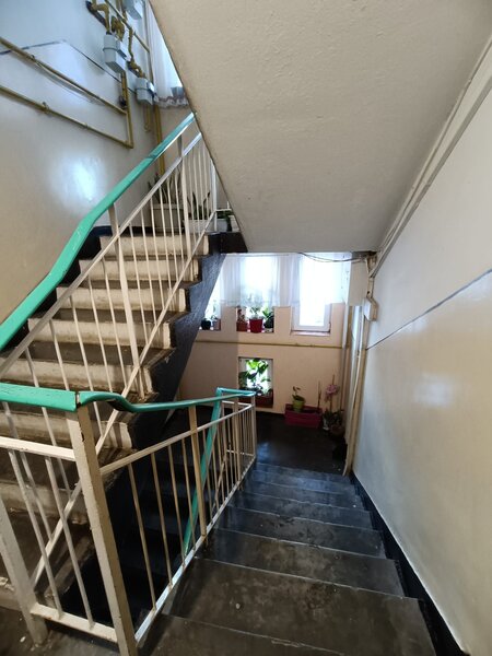 Antiaeriana, Crizantemelor,